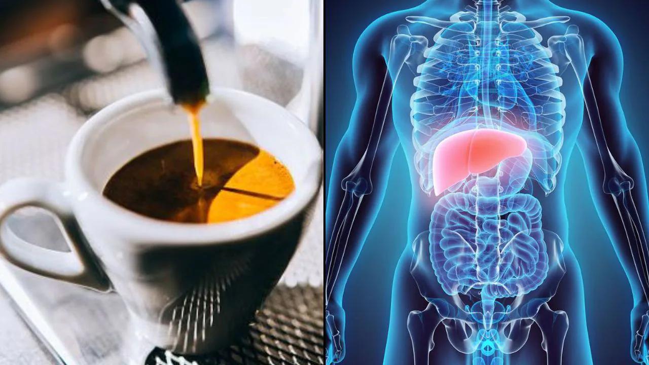 El café y su relación con la salud del hígado - Cómo afecta la cafeína al hígado cafe daña higado - Cómo afecta la cafeína al hígado