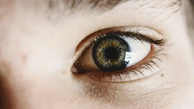 color de ojos cafe - Cómo describir ojos color café