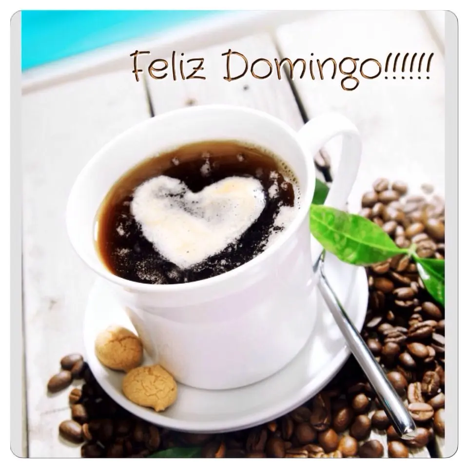 Cómo disfrutar de un buen café en un domingo perfecto - Cómo disfrutar de un buen café buen domingo cafe - Cómo disfrutar de un buen café