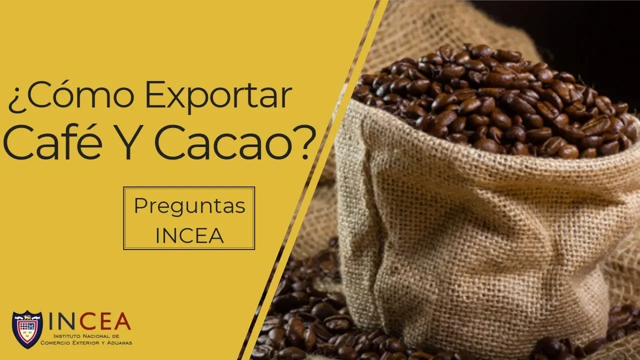 como exportar cafe desde colombia - Cómo exportar café a Colombia