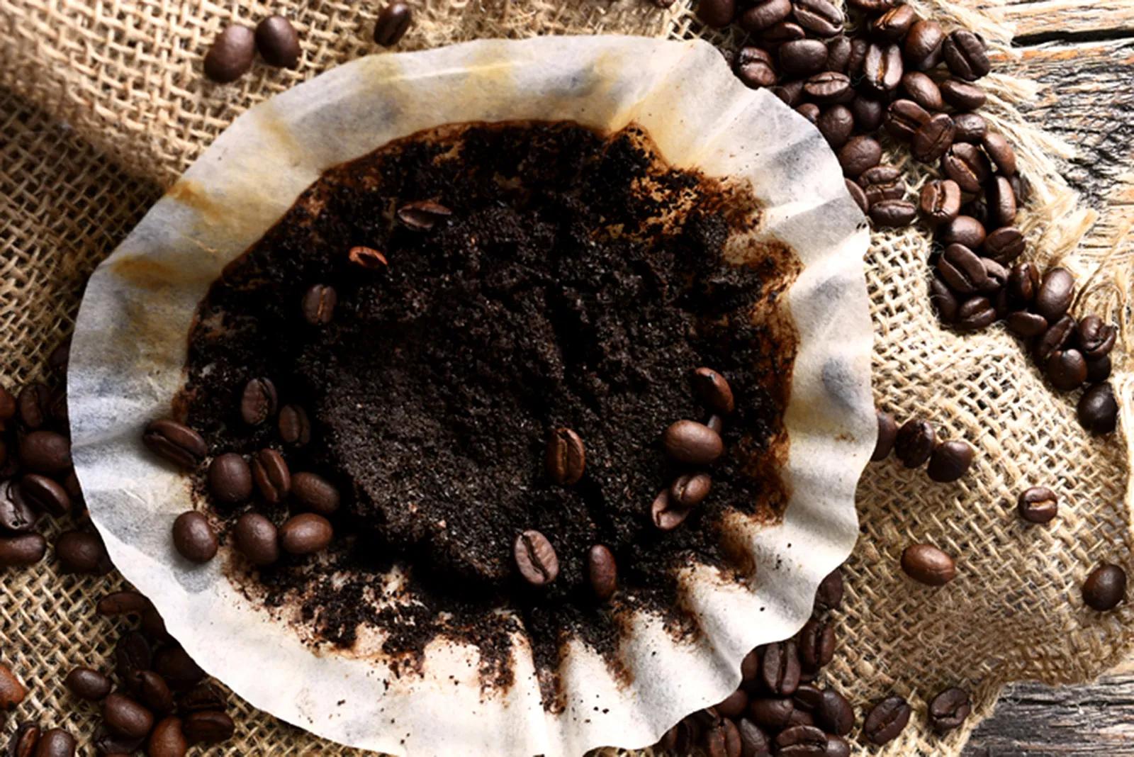 como hacer abono de cafe - Cómo hacer abono con cáscara de huevo y café