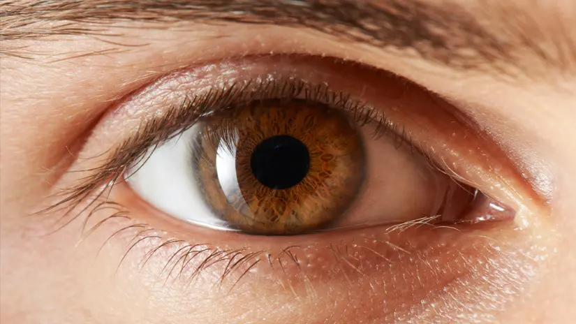 Café para aclarar los ojos: ¿mito o realidad? - Cómo hacer para que los ojos se vean más claros café claro ojos - Cómo hacer para que los ojos se vean más claros