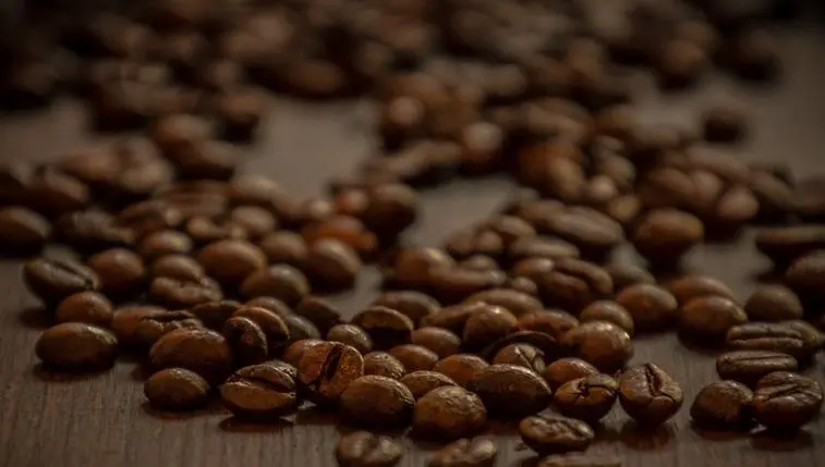 Ambientador de Café: Cómo hacer que tu casa huela deliciosamente a café - Cómo hacer que la casa huela a café ambientador cafe - Cómo hacer que la casa huela a café