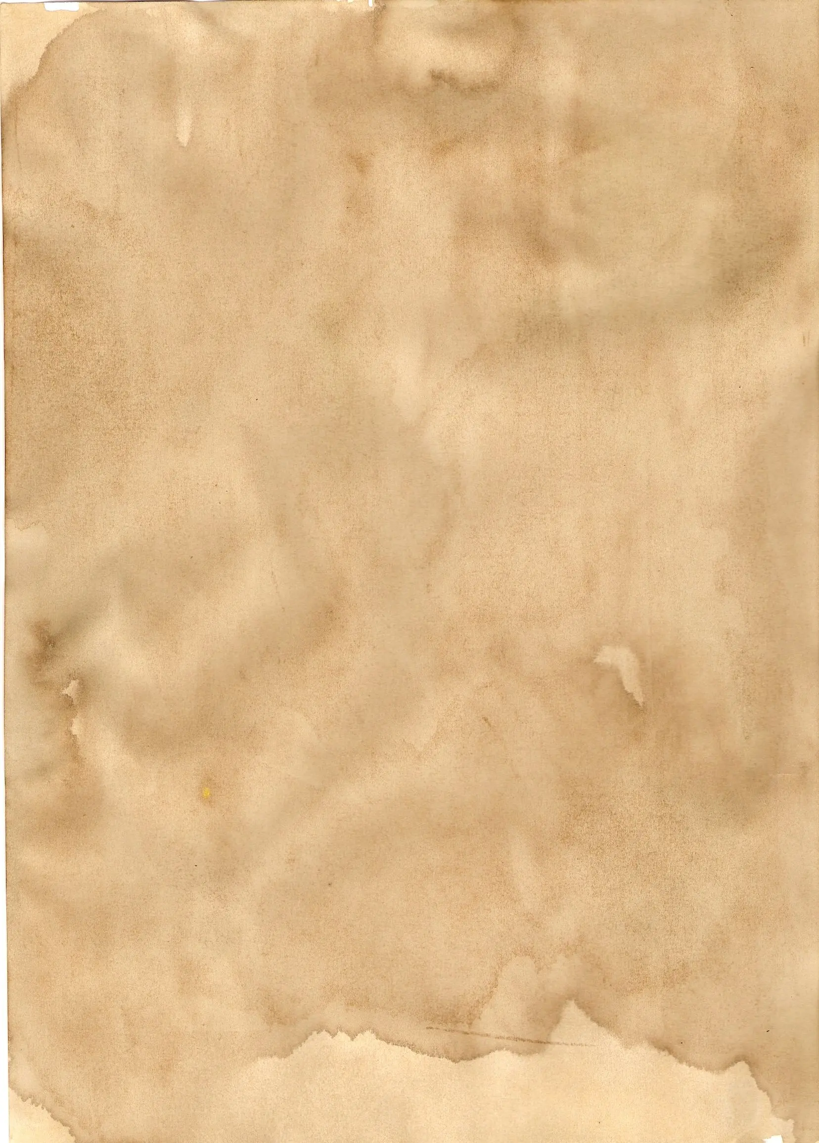 papel con cafe - Cómo hacer una hoja de pergamino