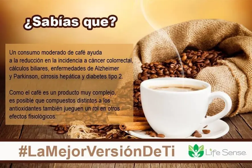 antioxidantes del café y cirrosis - Cómo limpiar la cirrosis