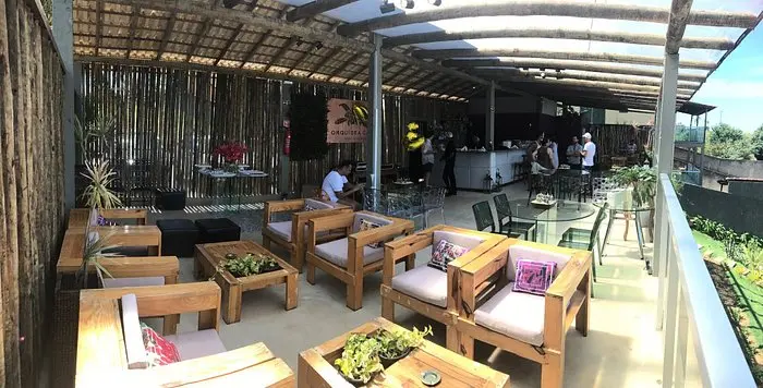 orquidea cafe - Cómo recuperar una orquídea casi muerta