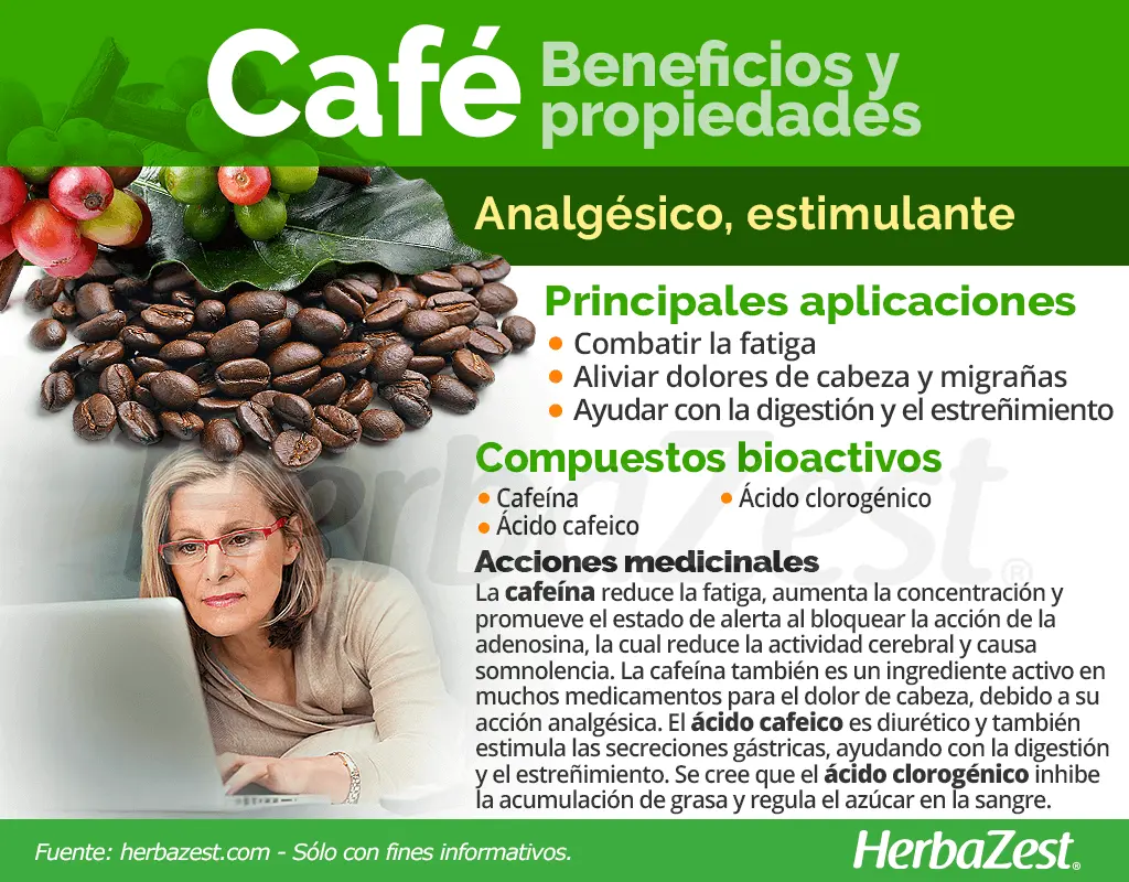 Principio activo del café: la cafeína - Cómo se activa la cafeína principio activo del cafe - Cómo se activa la cafeína