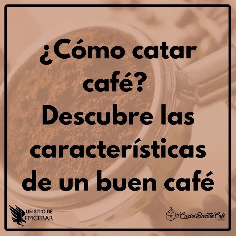 ¿qué Es La Cata De Café Aprende A Catar Café Y Sus Sabores Despiste Café 