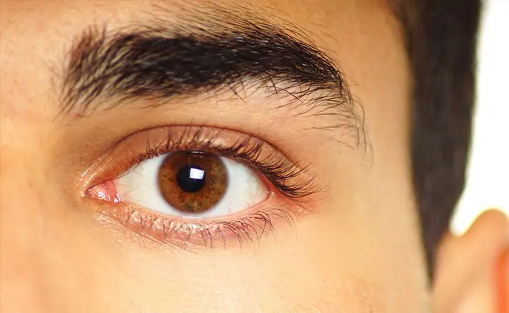 Ojos café: Todo lo que debes saber sobre ellos - Cómo se le dice a los ojos cafés ojos cafe - Cómo se le dice a los ojos cafés