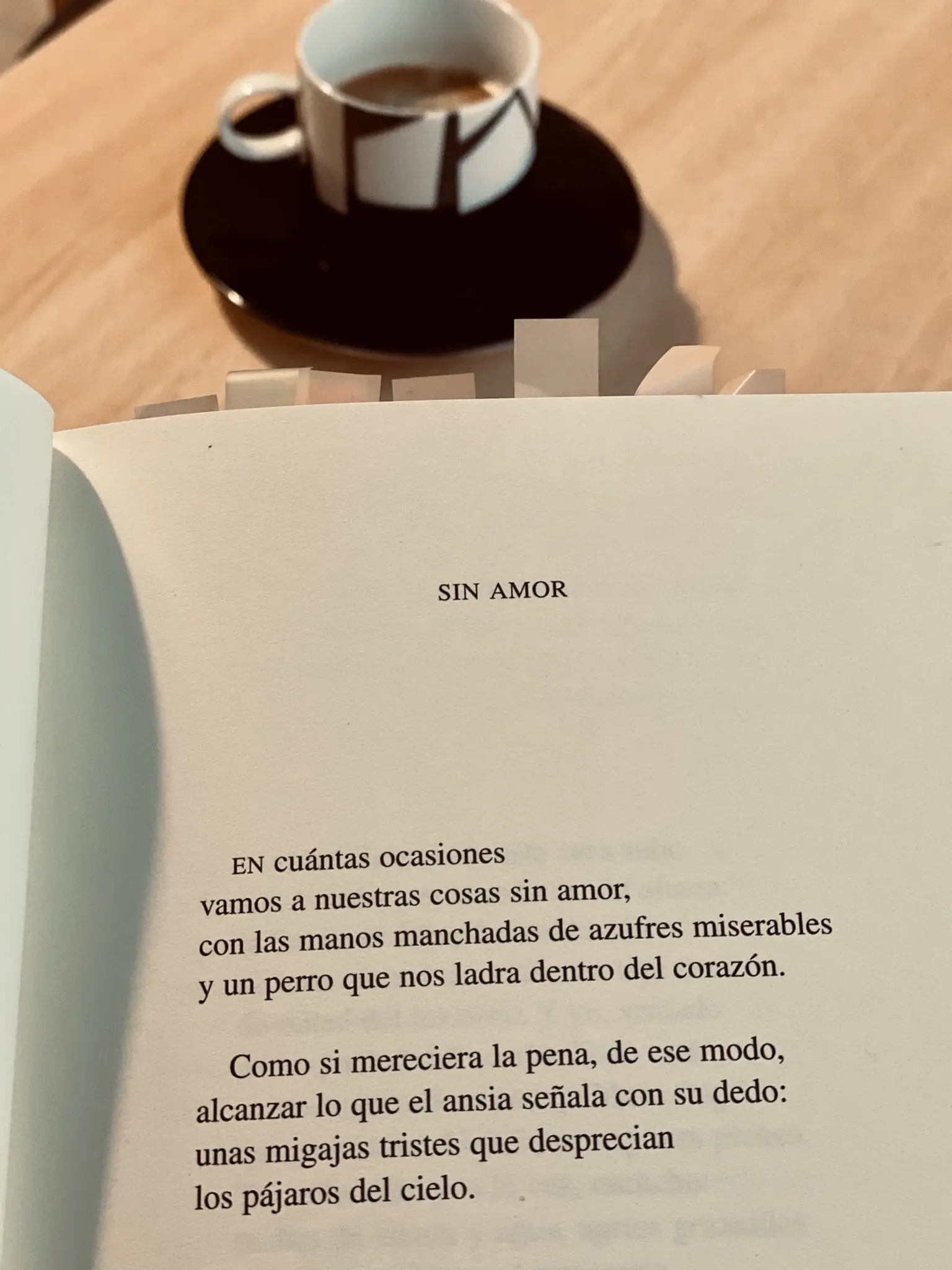 amor de un café poesía - Cómo se llama el poeta del amor