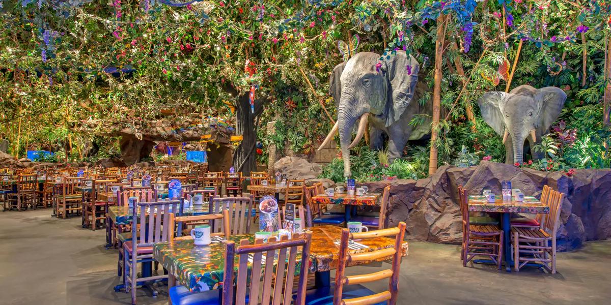 Rainforest Cafe Disney: Una experiencia única en Disney Springs - Cómo se llama el restaurante del volcán en Disney Springs rainforest cafe disney - Cómo se llama el restaurante del volcán en Disney Springs