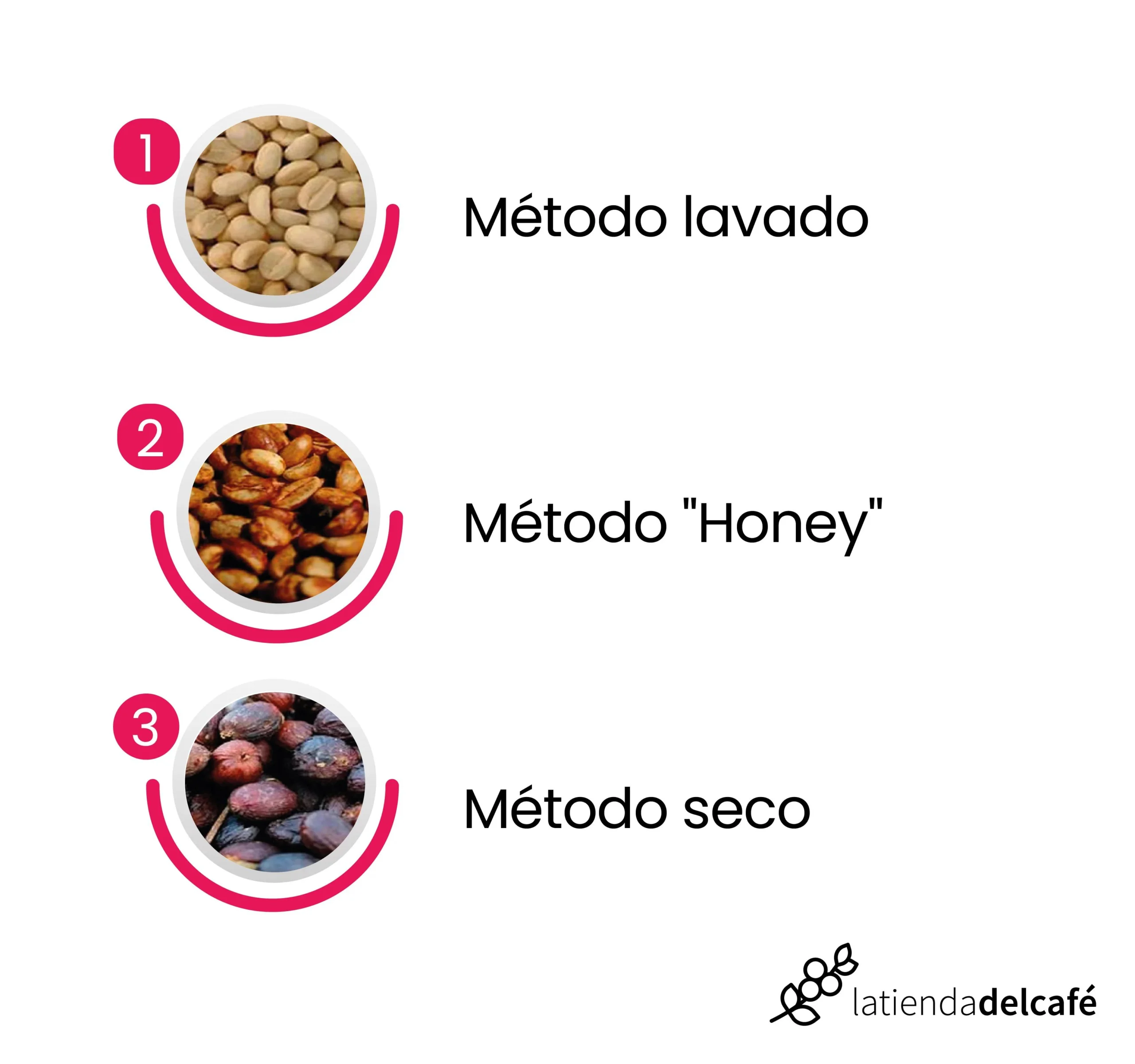 proceso de fermentación del café - Cómo se realiza el proceso de la fermentación