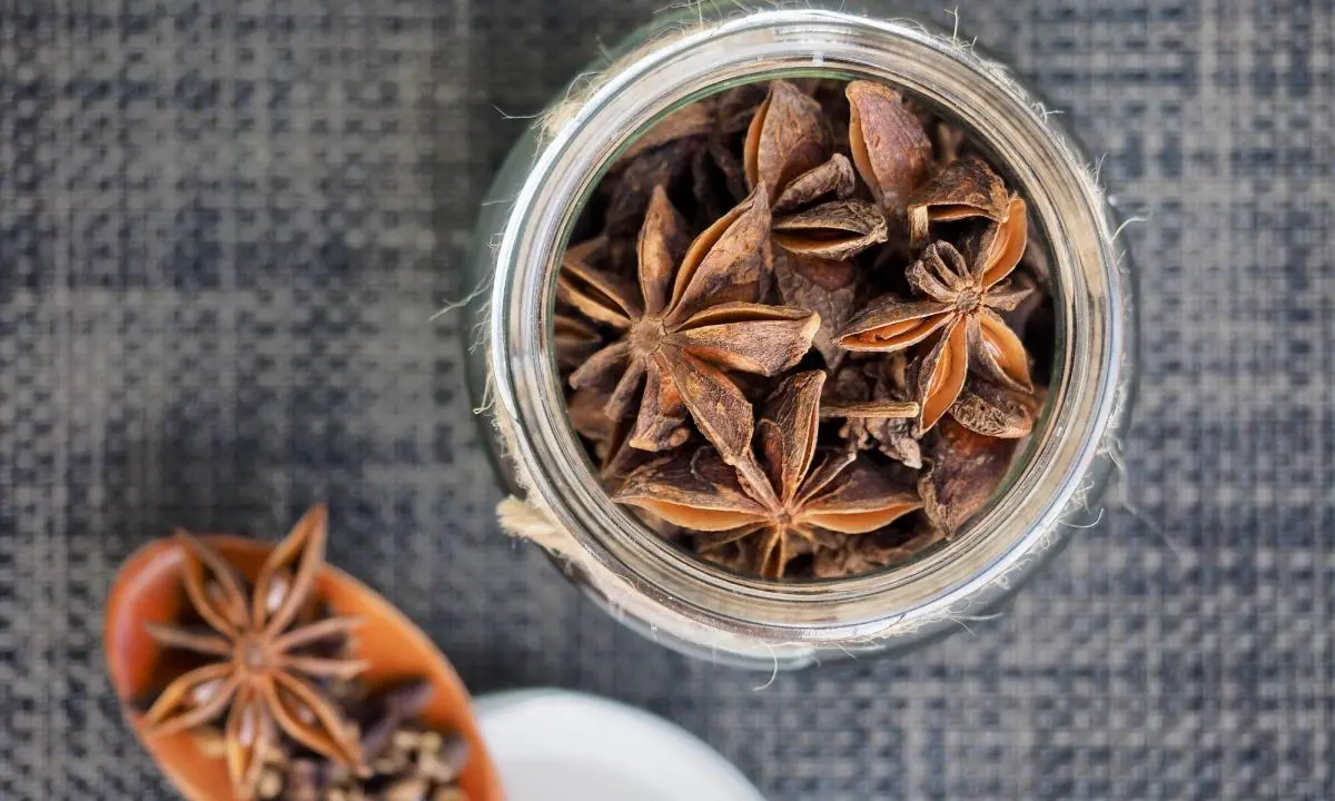 Café con anís estrellado: una combinación deliciosa y beneficiosa - Cómo se toma el anís estrellado para los gases cafe con anis estrellado - Cómo se toma el anís estrellado para los gases