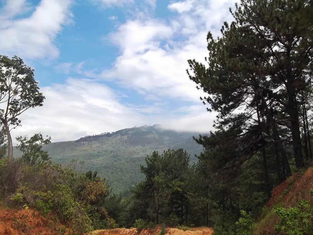 Cerro El Café: Un paraíso para los amantes del café - Cómo subir al cerro el café cerro el café - Cómo subir al cerro el café