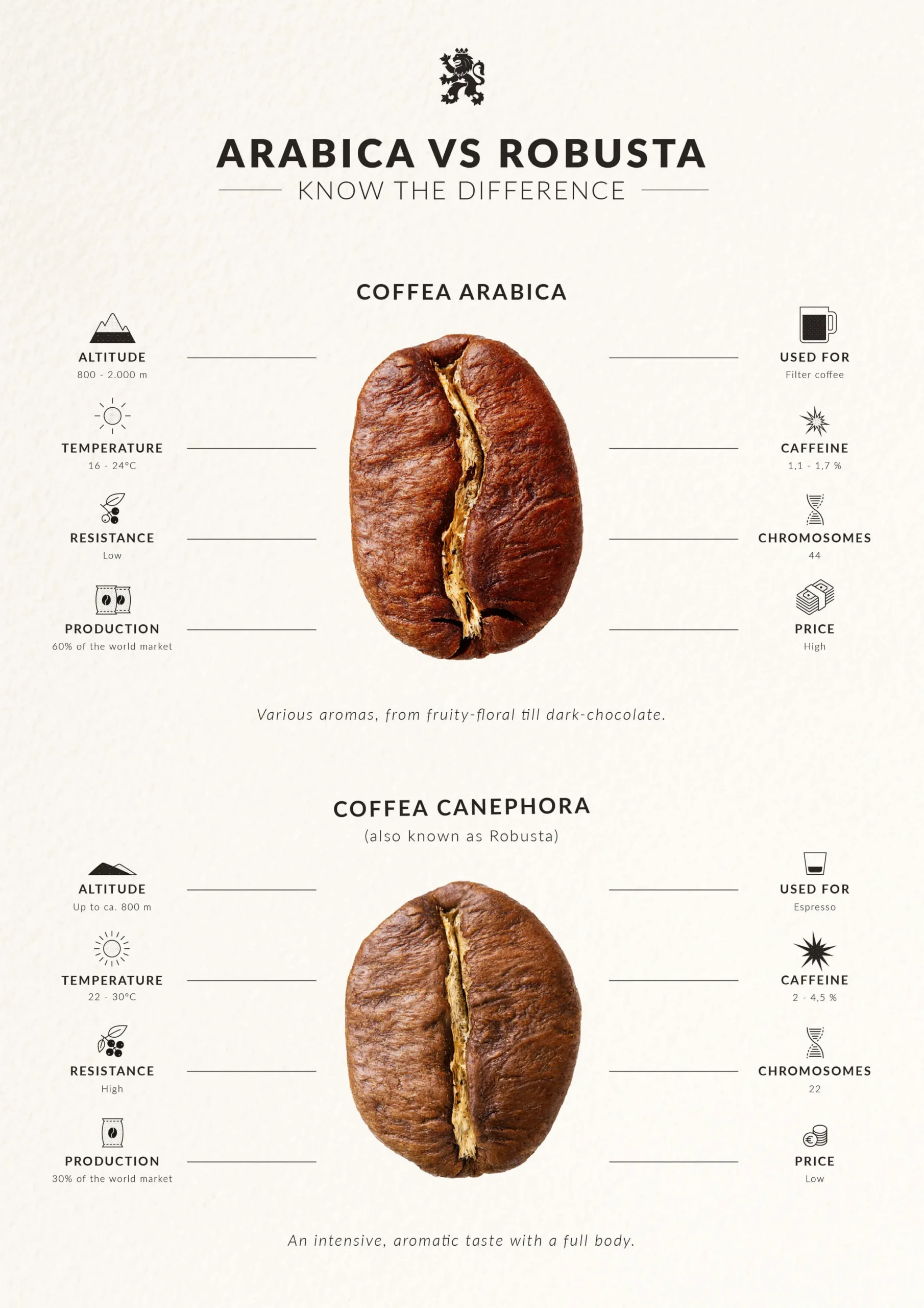 cafe arabica robusta - Cuál es el mejor café arabica o robusta