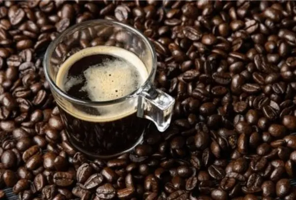 El café: ¿estriñe o es laxante? - Cuál es el mejor café para ir al baño el cafe estriñe o es laxante - Cuál es el mejor café para ir al baño