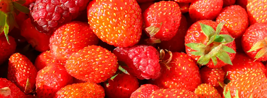 Café con frutos rojos: una combinación deliciosa y saludable - Cuál es el origen de los frutos rojos cafe con frutos rojos - Cuál es el origen de los frutos rojos