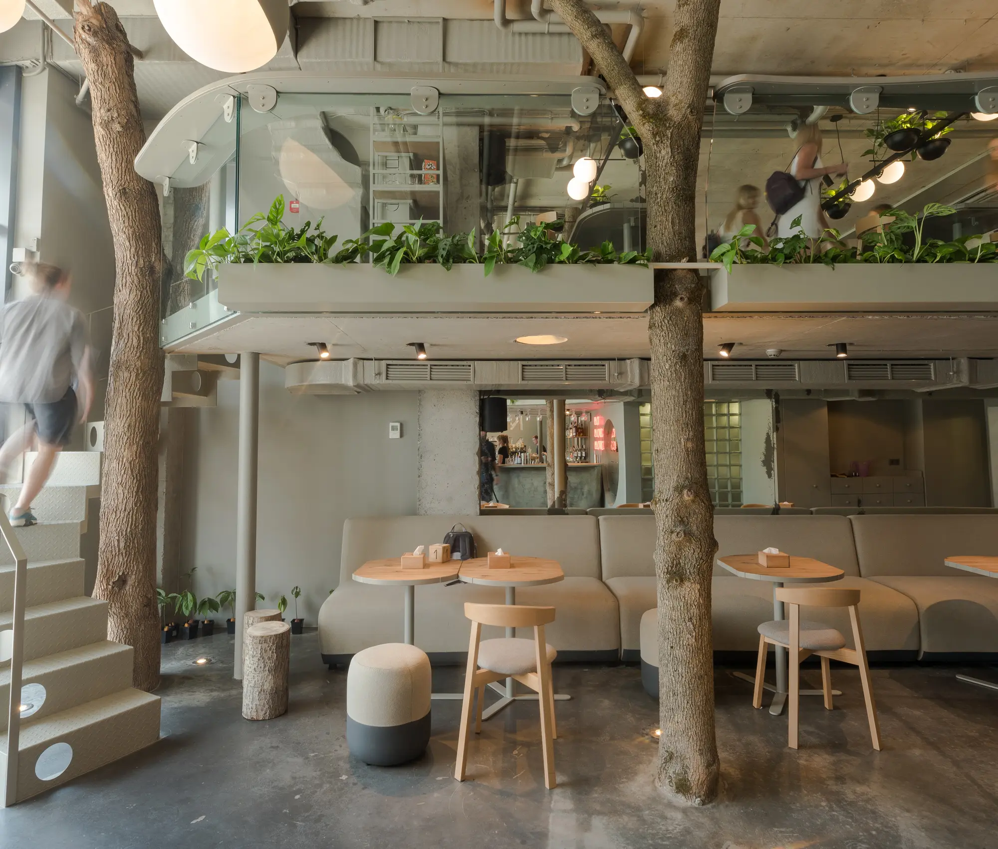 cafe vegan - Cuál es el porcentaje de personas veganas en el mundo