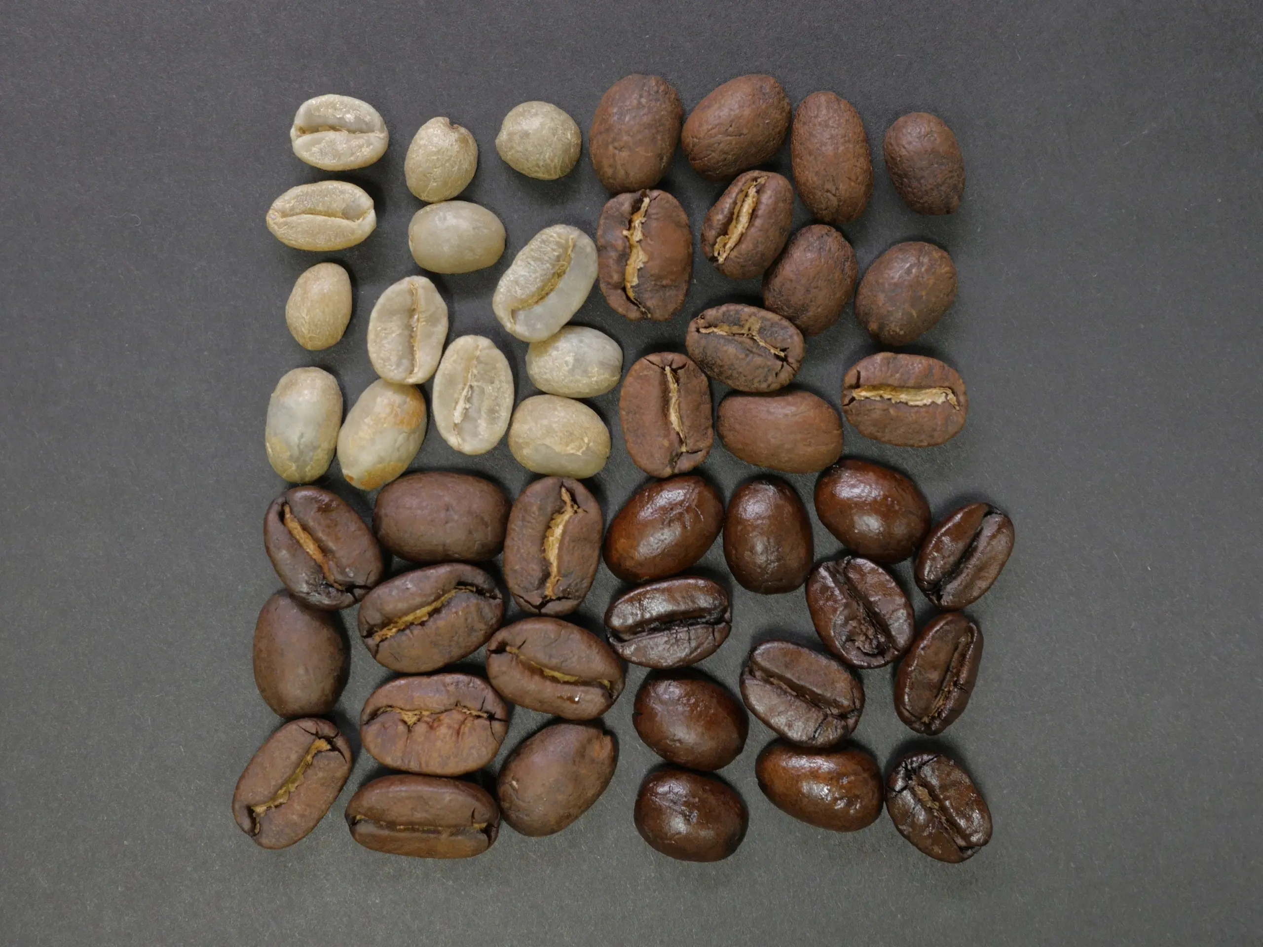 como se hace el cafe descafeinado - Cuál es el proceso del café descafeinado