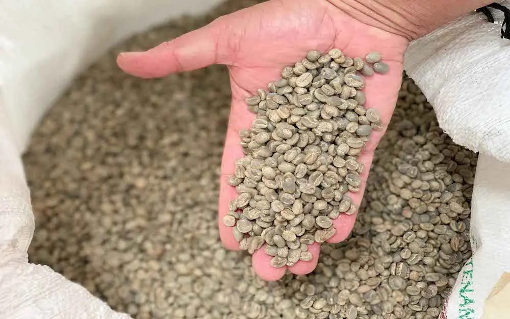 La densidad del café: todo lo que necesitas saber - Cuál es la densidad de el café densidad cafe - Cuál es la densidad de el café