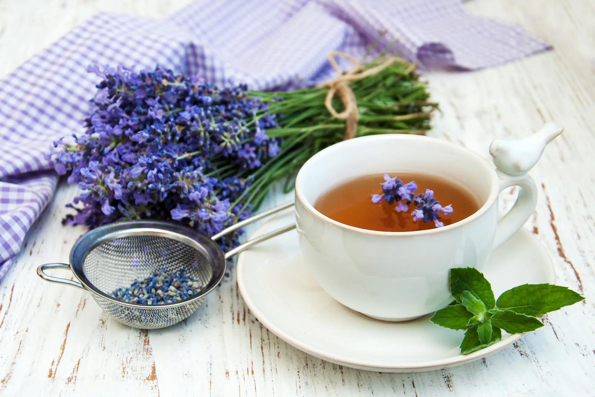 Café de lavanda: una deliciosa y aromática combinación - Cuál es la infusion de moda cafe de lavanda - Cuál es la infusion de moda