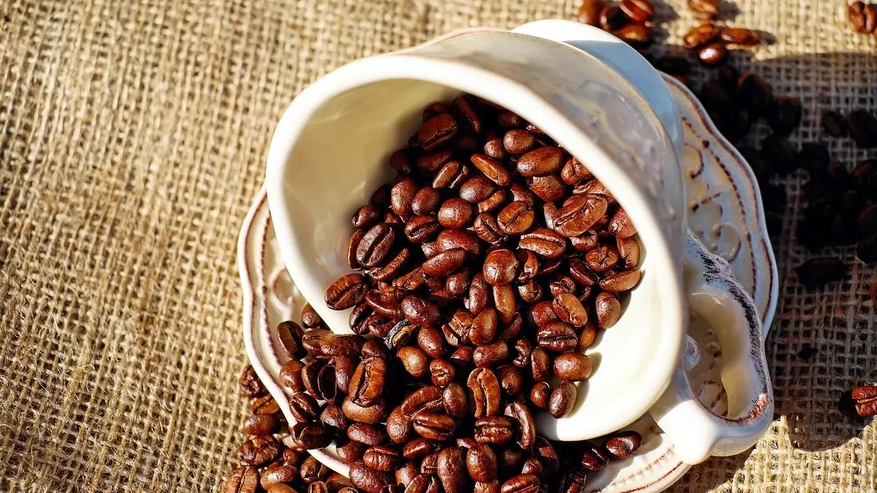 cafe descafeinado al agua - Cuál es la mejor marca de café descafeinado