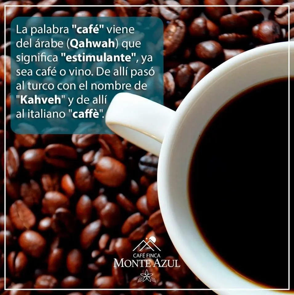 El Café: La Segunda Bebida Más Consumida - Cuál es la segunda bebida más consumida después del agua el cafe es la segunda bebida mas consumida - Cuál es la segunda bebida más consumida después del agua