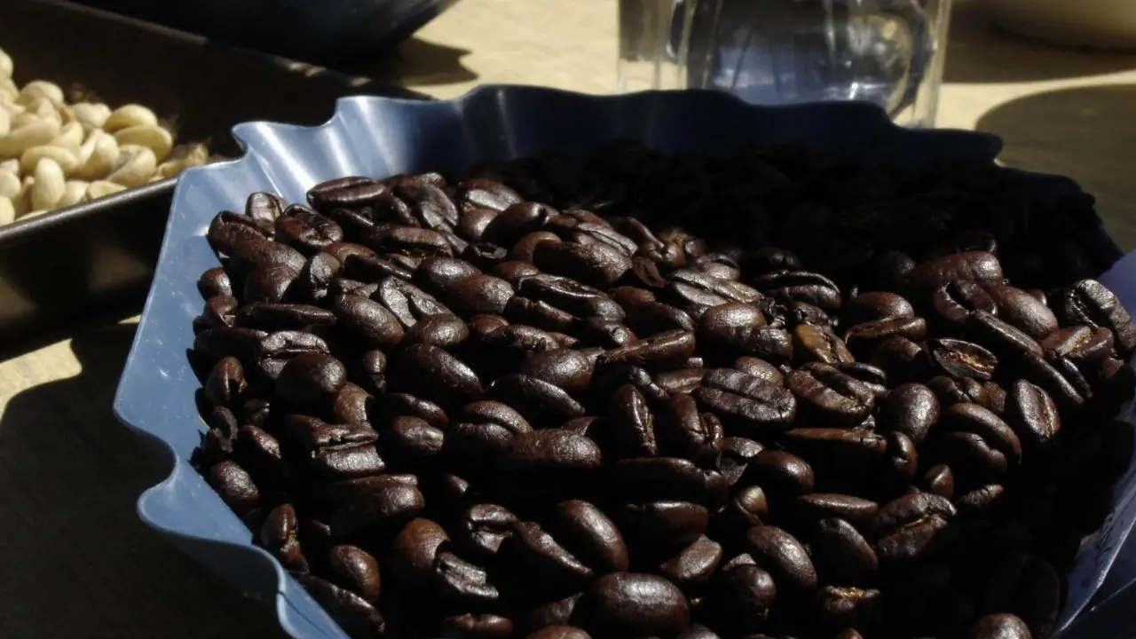 cual es el mejor cafe de mexico - Cuáles son las marcas mexicanas de café a nivel internacional
