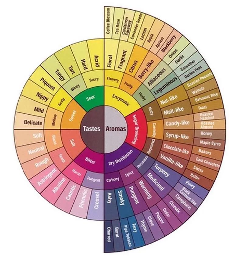 notas de cata cafe - Cuáles son las notas de cata