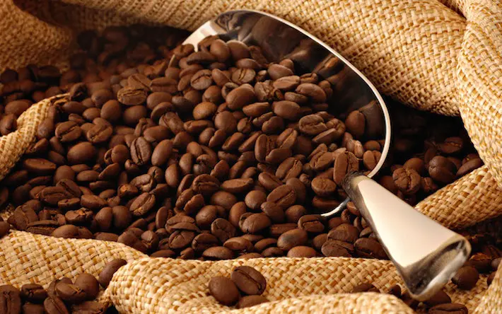 que es el cafe arabica - Cuáles son los beneficios del café arábica