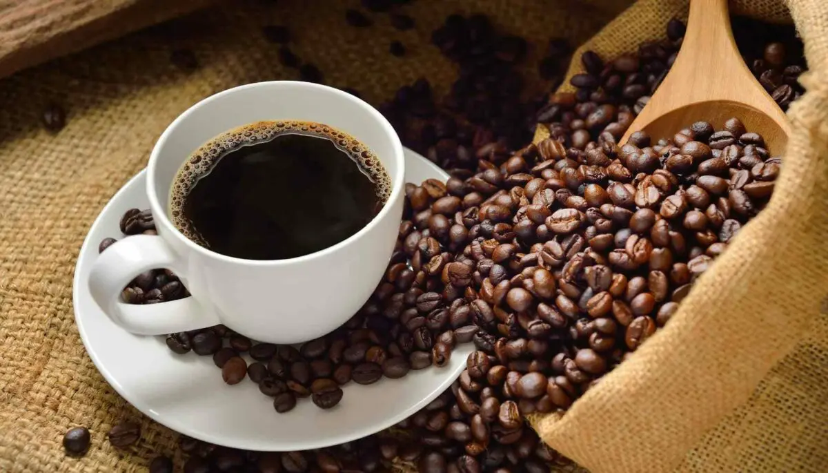 proveedores de cafe - Cuáles son los proveedores de una cafetería