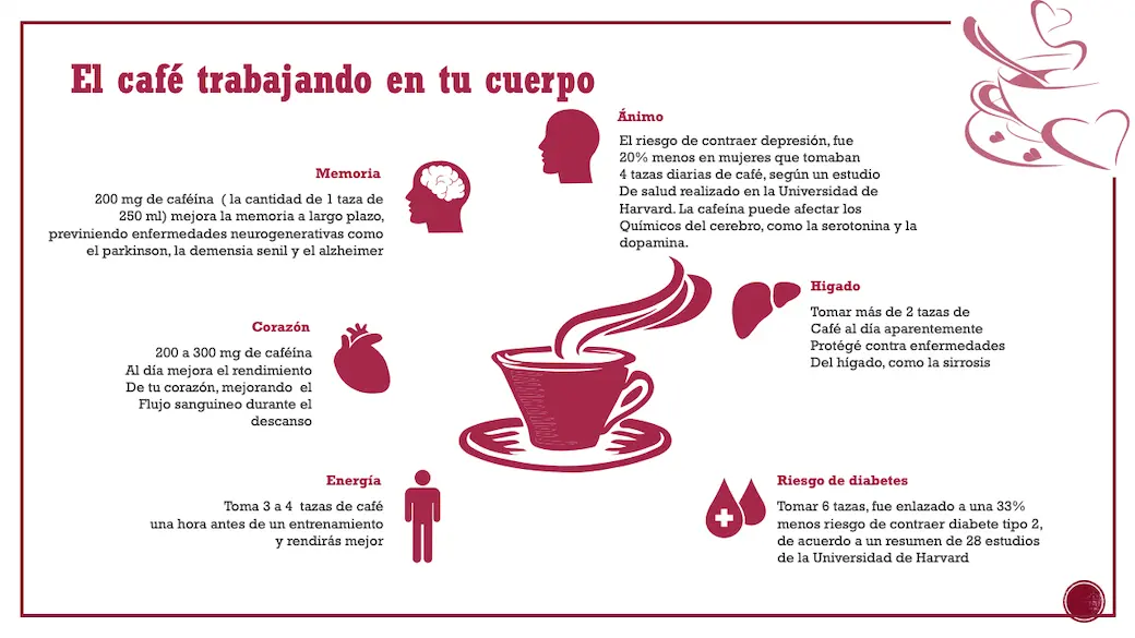 Efectos del café en la salud - Cuáles son los riesgos para la salud asociados al consumo del café efectos del cafe en la salud - Cuáles son los riesgos para la salud asociados al consumo del café