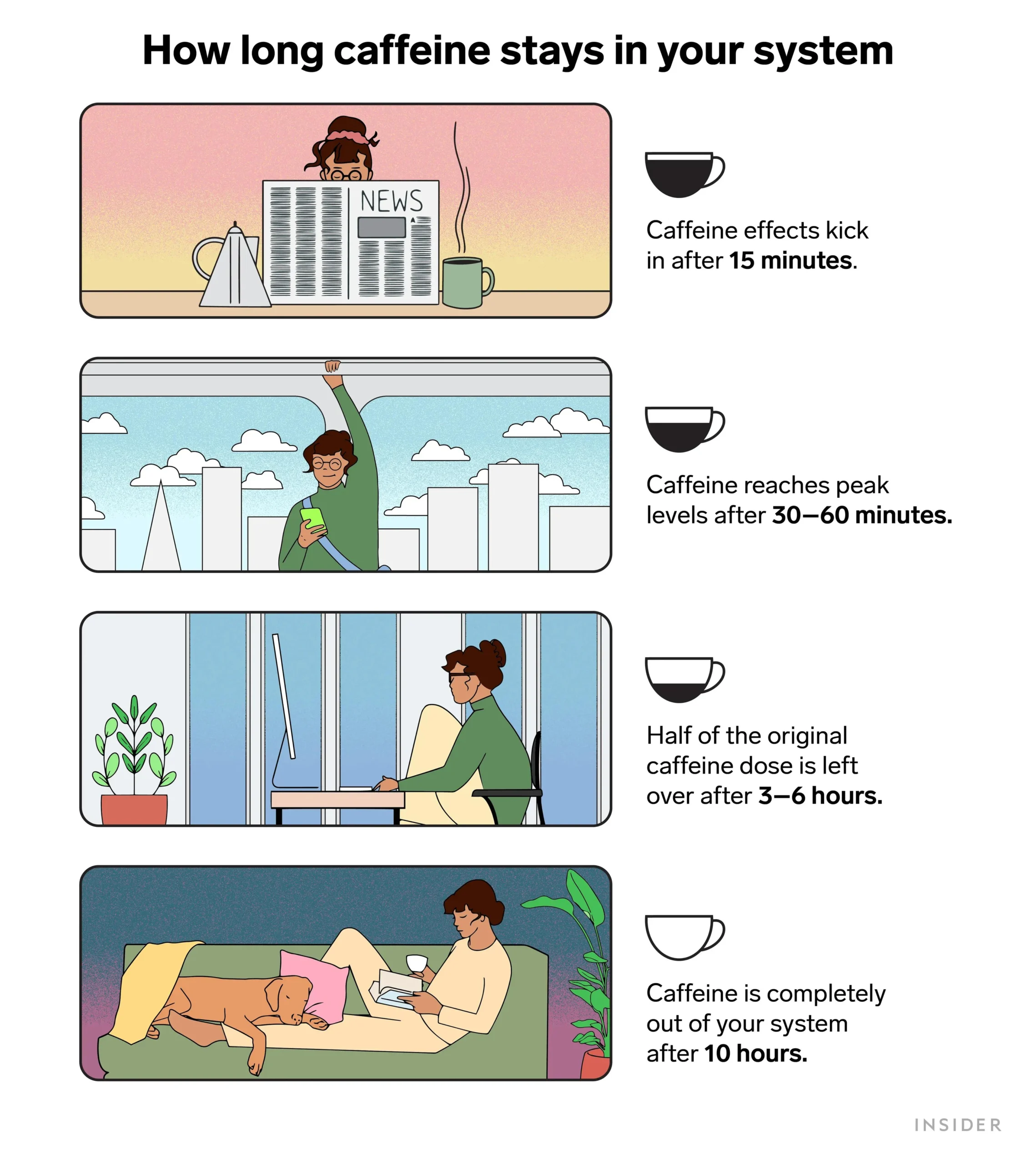 Cuantas horas hace efecto el café - Cuando pierde la cafeína el café cuantas horas hace efecto el cafe - Cuando pierde la cafeína el café