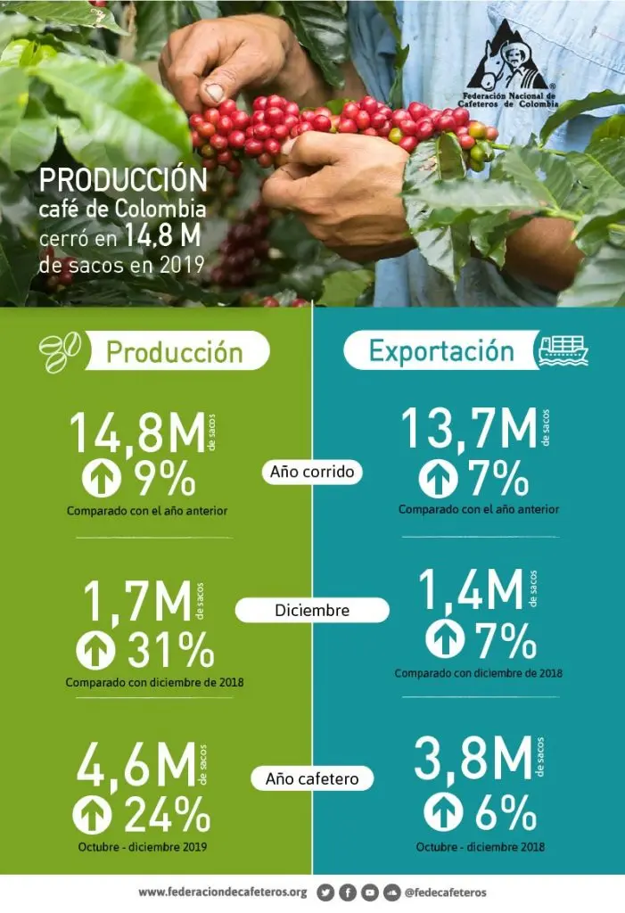 produccion del cafe en colombia - Cuántas cargas de café produce una hectárea en Colombia