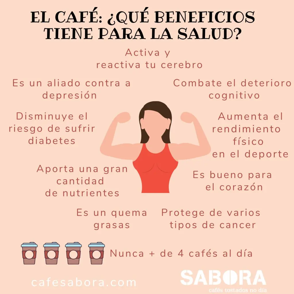 beneficios del cafe segun la oms - Cuánto café se puede tomar por día OMS