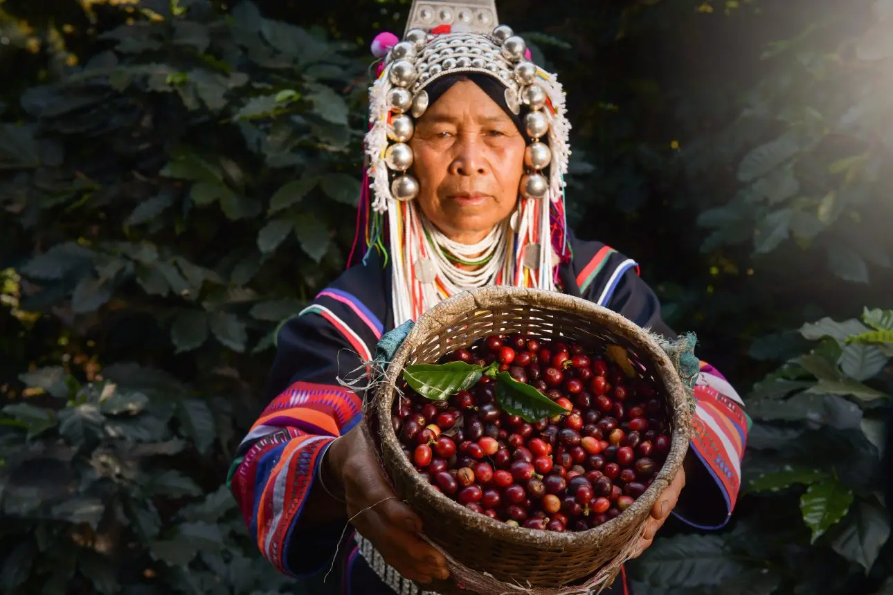 cafe en tailandia - Cuánto cuesta una comida en Tailandia