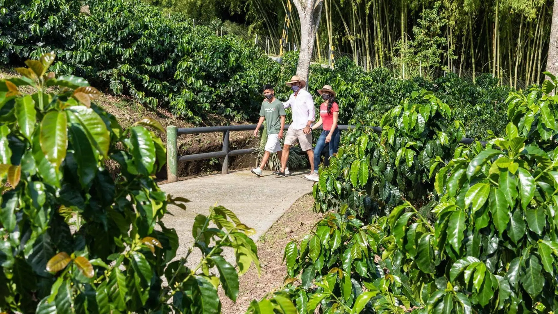 parque del cafe - Cuánto tiempo dura el recorrido en el Parque del Café