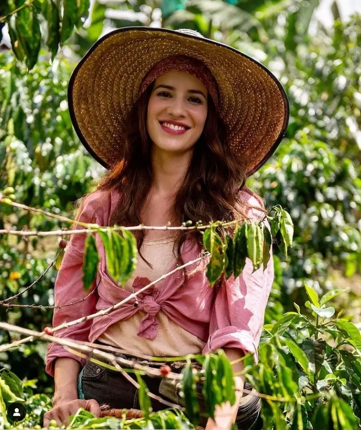Gaviota Aroma de Café: La historia de una pasión por el café - Cuántos capítulos tiene la Gaviota gaviota aroma de café - Cuántos capítulos tiene la Gaviota