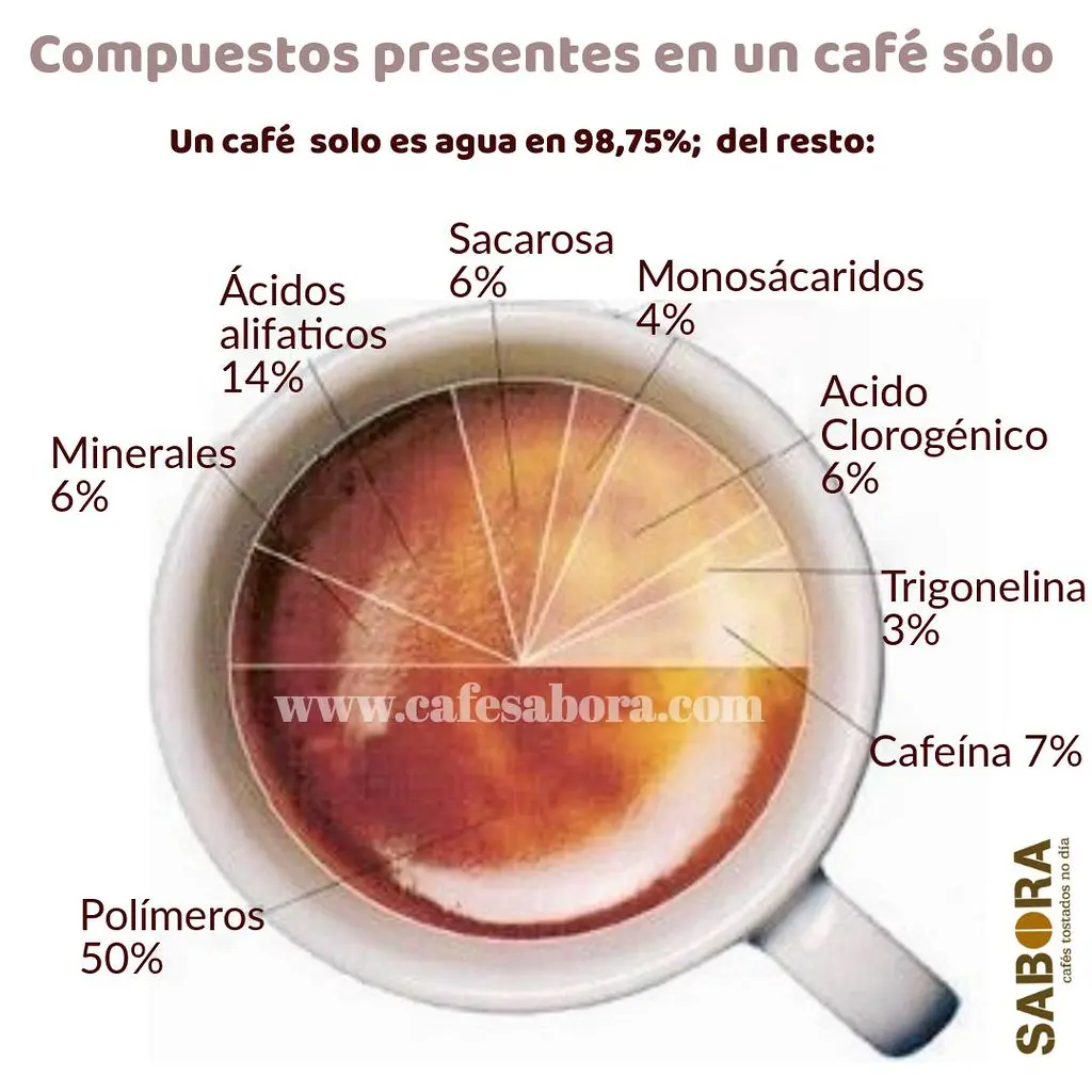 cantidad de cafe por agua - Cuántos gramos de café por cada 100 ml