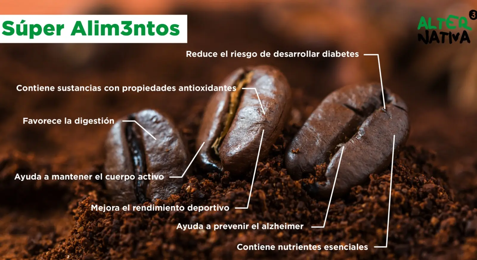 cuantos lipidos tiene el cafe - Cuántos lípidos tiene el café