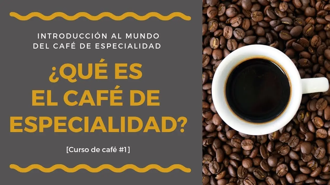 ¿Qué es el café de especialidad? - Dónde nace el café de especialidad que es el cafe de especialidad - Dónde nace el café de especialidad