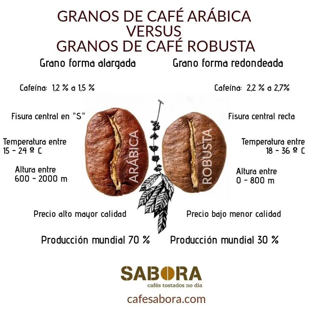 origen del cafe robusta - Dónde se produce el café robusta