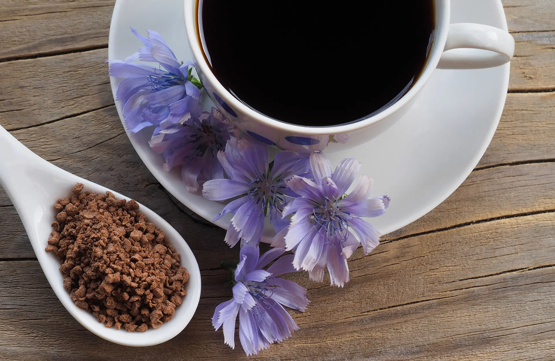Café à la Chicorée: Una Alternativa Deliciosa y Saludable - Est-ce que la chicorée est bon pour la santé café à la chicorée - Est-ce que la chicorée est bon pour la santé
