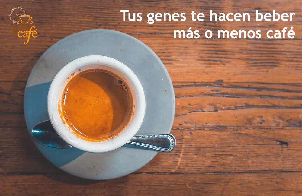 me gusta el cafe por la mañana - Por qué a las personas les gusta el café