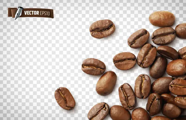 Graine Café: Una Experiencia Única para los Amantes del Café - Pourquoi manger des grains de café graine café - Pourquoi manger des grains de café