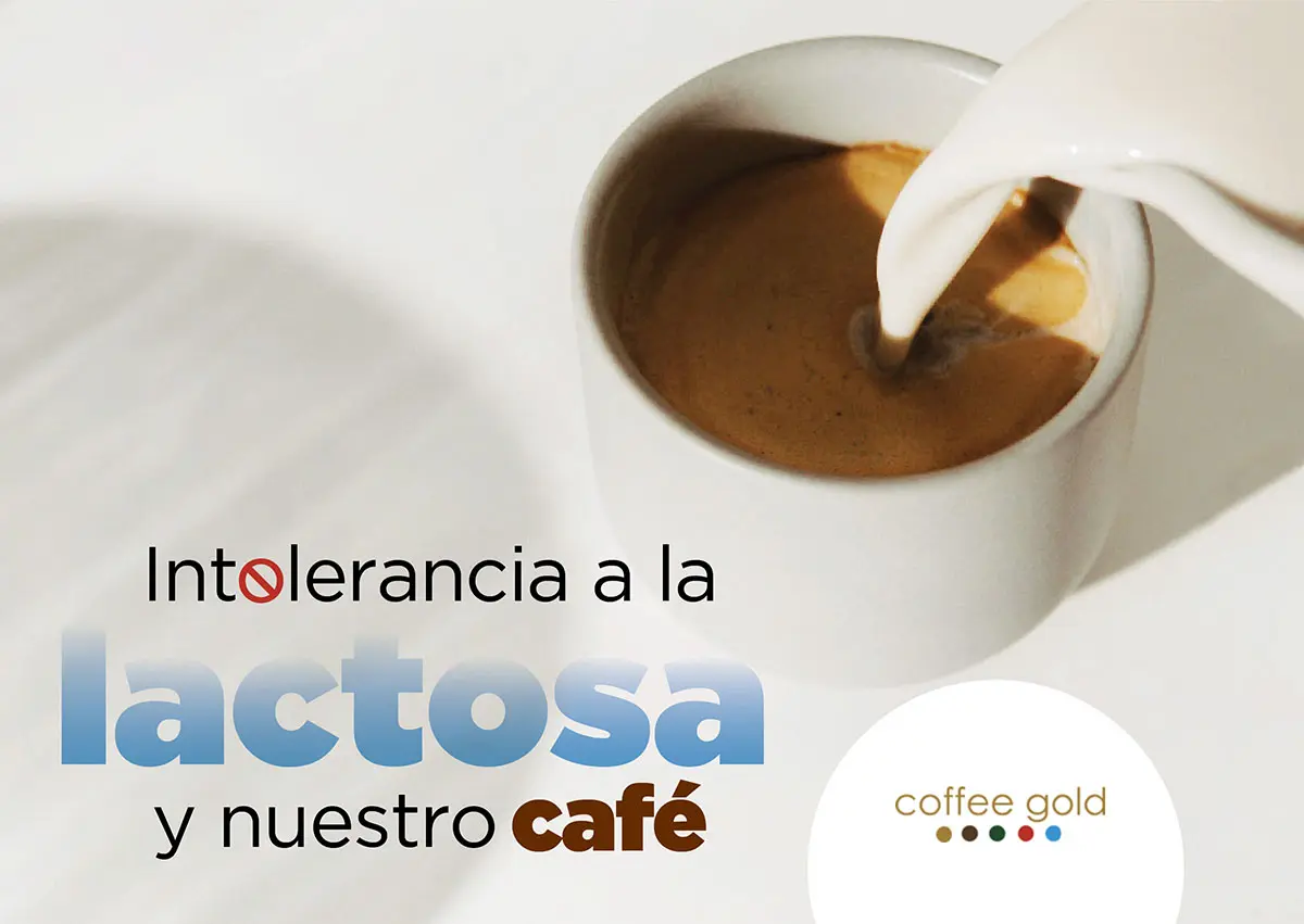 el cafe tiene lactosa - Qué alimentos no consumir si soy intolerante a la lactosa