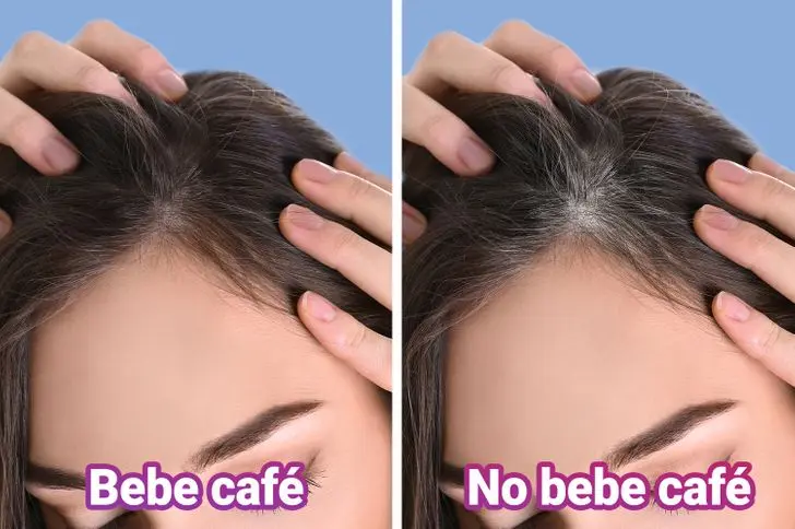 el cafe hace que se caiga el cabello - Qué alimentos provocan la caída del cabello