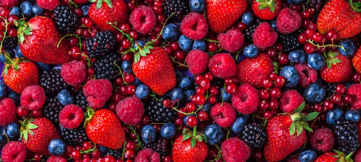 Café con frutos rojos: una combinación deliciosa y saludable - Qué aportan los frutos rojos cafe con frutos rojos - Qué aportan los frutos rojos