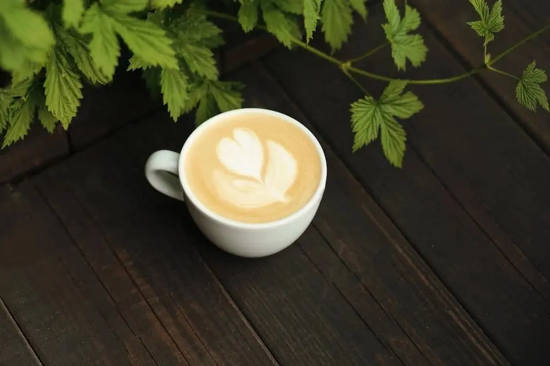 es malo el cafe para la prostata - Qué bebidas irritan la próstata