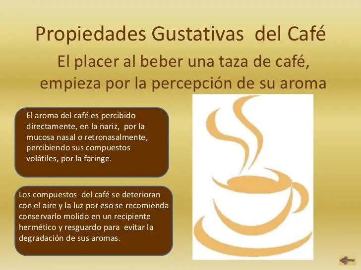 Aroma a Café: Propiedades y Beneficios - Qué beneficios tiene el aroma aroma a café prpiedades - Qué beneficios tiene el aroma